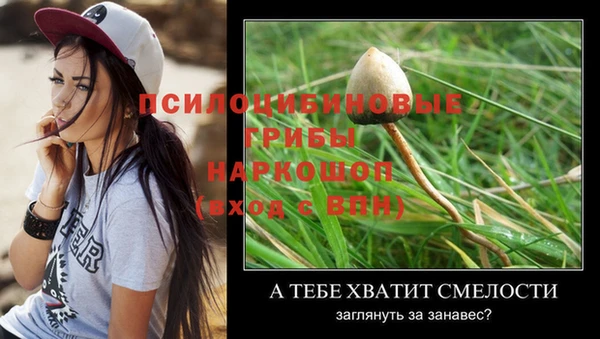 меф Бородино